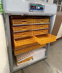 Équipement automatique économiseur d'énergie d'incubation d'oeufs avec la capacité d'oeufs 528-10000 comprenant les boîtes d'oeufs isolées - Product Image 4