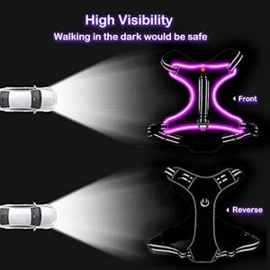 Arnés de Perro Recargable con Luz LED, Antitirones, Ajustable, Reflectante, Acolchado, Impermeable, Brillante, con Reflectivo - Product Image 4