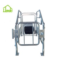 Cage de maternité personnalisable pour truies, directement de l'usine, pour l'élevage porcin