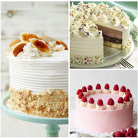 Großhandel Edelstahl-Kuchenformen 7-teiliges Umweltfreundliches Backdekorations-Werkzeugset mit Kuchendrehteller