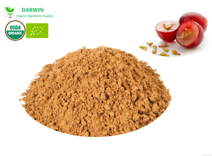 Tinh khiết tự nhiên hữu cơ chiết xuất hạt nho bột OPC anthocyanin 95% chiết xuất hạt nho - Product Image 2