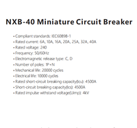 Disjoncteur miniature Chint NXB-40 6A 10A 16A 20A 25A 32A 40A DPN 1P+N 50HZ Courbe C D 4500A 4.5KA 4kV