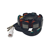Stator magnétique compatible avec les motos Beta RR 2T 4T Xtrainer, pièces OEM 026100050000 026.10.005.00.00
