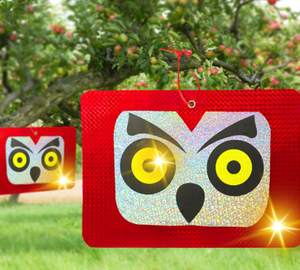 Disques répulsifs holographiques <span class=keywords><strong>pour</strong></span> oiseaux, écologiques, <span class=keywords><strong>pour</strong></span> effrayer <span class=keywords><strong>les</strong></span> <span class=keywords><strong>pigeons</strong></span>, dissuasifs réfléchissants <span class=keywords><strong>pour</strong></span> le jardin - Product Image 2