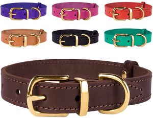 Kerah Anjing Kulit Dasar Klasik Anjing, Kerah Kulit Kuningan Solid Perangkat Keras - Product Image 5