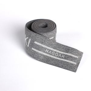 Good Quality Underwear Elastic Silicon Logo Printed <b>Webbing</b> Tape Logo Elastic Nylon <b>Webbing</b> Textile Accessories - Product Image 2