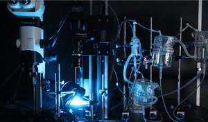 מערכת הדמיה אופטית לבבית ברזולוציה גבוהה לאלקטרופיזיולוגיה ולמחקר מנגנוני אי-ריתמיות - Product Image 6