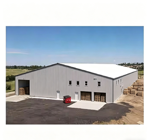 Mini entrepôt en acier, petit bâtiment et abri de stockage extérieur, auvent de stockage en acier au design compact - Product Image 5