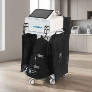 Unidad de Luz Estética LLLT con Sistema de Enfriamiento por Aire, Dispositivo de Belleza para Rejuvenecimiento de la Piel, Terapia del Dolor y Adelgazamiento Corporal - Product Image 1