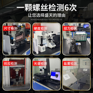 Vis autotaraudeuses en acier inoxydable 304 Shengtian, tête ronde, pointe Phillips, vis à bois, qualité industrielle A - Product Image 4