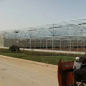 2024 cheap industrial wide span greenhouse agricultural growing vegetable in China