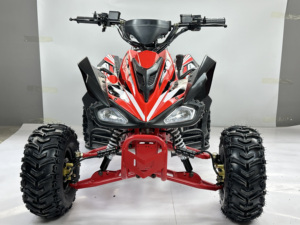<span class=keywords><strong>Quad</strong></span> 125cc à refroidissement par air, 4 roues, à essence, pour travaux agricoles et loisirs, directement de l'usine, OEM/ODM - Product Image 2