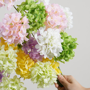 ดอกไฮเดรนเยียฝรั่งเศสแบบ 3 หัว สีขาว ชมพู เหลือง เขียวอ่อน ม่วงอ่อน เขียวเข้ม สำหรับตกแต่ง - Product Image 4
