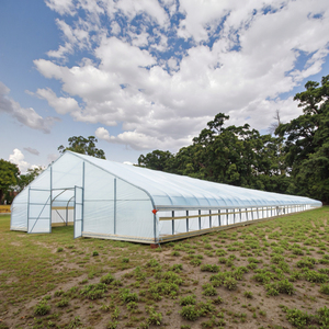 Couverture de film PE galvanisée à installation rapide pour serre tente de jardin stockage d'<span class=keywords><strong>urgence</strong></span> rentable <span class=keywords><strong>garage</strong></span> de stationnement de <span class=keywords><strong>voiture</strong></span> - Product Image 1
