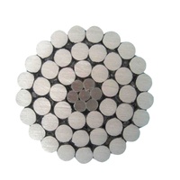 Câble Almelec en alliage d'aluminium 34.4 Mm2 54.6mm2 70mm2 AAC AAAC ACSR Conducteur en aluminium Conducteur nu en alliage personnalisé