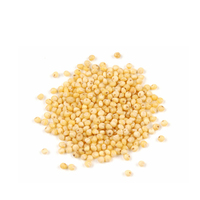 Ingrédients de soin de la peau en gros Panicum Miliaceum (Millet) poudre d'extrait de graines poudre d'extrait de graines de millet