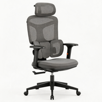 Silla de Oficina Ergonómica Giratoria para Estudio o Sala de Juegos, Respaldo de PP, Soporte Lumbar Convertible, Reposacabezas 3D, Reposabrazos 4D