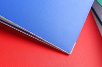 Carpeta Archivadora de Papel Personalizada, Tamaño A4/FC, Carpeta de Anillas con Palanca de 2 Anillas, Cubierta Rígida de PP, Carpeta de Gestión de Archivos de Cartón