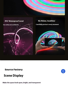 24V thông minh ma thuật địa chỉ tm1914 IC Neon IP65 linh hoạt RGB 5050 Giấc Mơ Màu tira Luces Silicone Đèn <span class=keywords><strong>LED</strong></span> chiếu sáng dải - Product Image 6