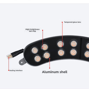 Neues Modell LED-Ringlicht mit Spike-Einsatz, Baumumfassende Gartenbeleuchtung für Landschaftsgestaltung, 24V IP67 Aluminium 12W DC-Stromversorgung - Product Image 2