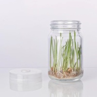 Botella de cristal transparente y redonda para cultivo de orquídeas, 350 ml, con tapas de plástico, suministro de fábrica
