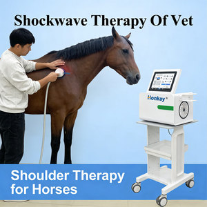Factory Direct 0-66mm Penetration 1-10Hz Frequency Professional Use Body Wellness Focused <b>Shockwave</b> <b>Machine</b> - Product Image 1
