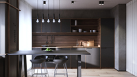 Armoires de cuisine modulaires en acier inoxydable, design moderne, écologiques, ignifuges, panneaux de porte en acrylique durables, évier et robinet inclus