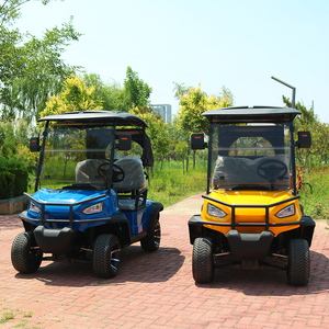 Carrito de Golf de 2 Plazas para Entusiastas - Product Image 6