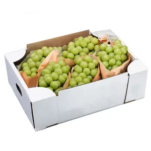 3ply Carton Tray Package Small Paper 3kg 5kg White Food & Beverage Packaging Fruit and Vegetable Packaging Recyclable UV Coating