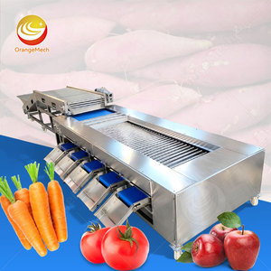 Machine de tri et de lavage de fruits ORME pour citrons, pommes de terre, myrtilles, petite machine de tri et de lavage de fruits pour citrons - Product Image 1