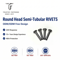 Rivets semi-tubulaires à tête ronde en acier inoxydable TianFang pour la production de mécanismes de commutation, finition passivée, tailles personnalisées