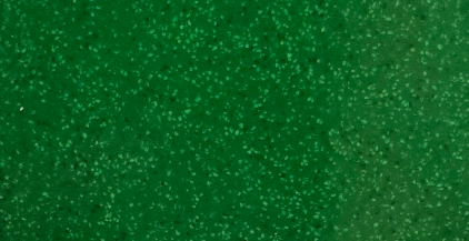 ESFP-06