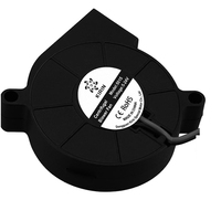 Ventilateur de turbine d'humidificateur 12v Dc 5cm 50mm X 15mm 12v 50x50 Petit ventilateur 5015 avec 4500 tr/min