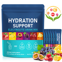 Lenm OEM ODM Poudre d'électrolytes personnalisée, 24 sachets, 6 saveurs, compléments à base de plantes, extraits végétaux, vitamines, électrolytes, énergie