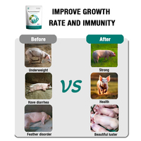 Additif alimentaire booster de croissance saine pour porcs bovins moutons multivitamine stimulateur immunitaire Nutrition poudre supplément