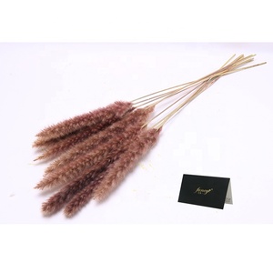 Bestseller: Erba della Pampa Naturale Essiccata Fornita Direttamente dalla Fabbrica, Ideale per Matrimoni, Halloween, Capodanno e Festa della Mamma - Product Image 4