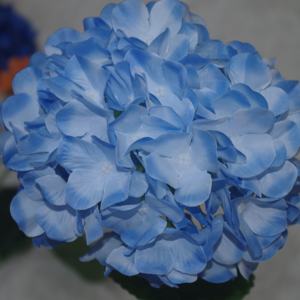 Vente chaude coloré haute qualité hortensia fleur artificielle pour la maison garden party décoration de mariage hortensia fleurs - Product Image 5