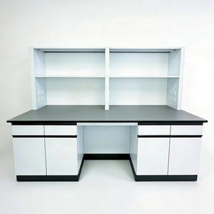 Arredamento da Laboratorio: Banco da Laboratorio con Porta-Reagenti e Armadietti a Muro. - Product Image 3