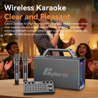 Machine de karaoké 200W avec console de mixage à distance, 2 micros sans fil, système de sonorisation portable pour anniversaire, fête à domicile, extérieur