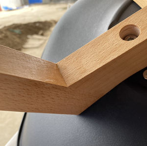 Nordic Italian Design Padded <b>Wooden</b> Legs Cafe Restaurant Colors PP Plastic Tulip Dining <b>Chairs</b> - Product Image 6