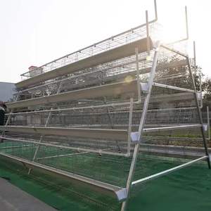 En iyi kümes hayvancılığı a tipi 3/4 katlı 96/120/128/160 kuşlar pil yumurta koleksiyonu otomatik içme tavuk yumurta tavuk kafesleri - Product Image 2