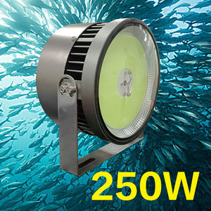 12/24V 220V 250W Vissersboot Gebruik 250W Zaklampen Voor Vissersboten, Vissen <span class=keywords><strong>Led</strong></span> Schip Verlichting Nacht Licht India Groen - Product Image 2