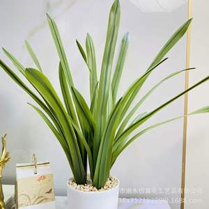 Mueble de TV paisaje interior decoración de boda flor Artificial Bianhua planta verde Artificial Estilo nórdico orquídea bonsái - Product Image 4