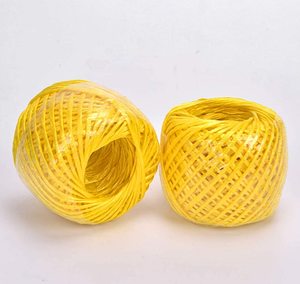 100g màu Polypropylene sản phẩm nông nghiệp ràng buộc twine <span class=keywords><strong>PP</strong></span> buộc dây cho dây bao bì làm vườn - Product Image 5