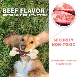 AFP isırmaya dayanıklı güçlü çiğnemek sopa köpek çiğnemek kemik S/M/L boyutu süper naylon sığır lezzet kemik köpek çiğnemek oyuncak agresif Chewers için - Product Image 5