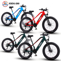 Bicicleta Eléctrica de Neumáticos Gruesos Todoterreno de 26 Pulgadas de Alta Calidad/ Bicicleta Eléctrica OEM para Adultos, Bicicleta Eléctrica de Montaña