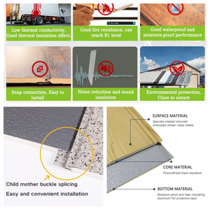 Panel Sándwich <span class=keywords><strong>EPS</strong></span> de <span class=keywords><strong>Alta</strong></span> <span class=keywords><strong>Densidad</strong></span>, Ignífugo, Aislante, para Paredes de Talleres de Purificación Industrial - Product Image 3