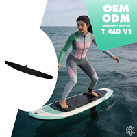 Aile arrière en carbone pour hydrofoil Pump Foil 460/65, stabilisateur arrière à glisse fluide, pour la pratique du wake et du downwind, équipement léger pour sports nautiques