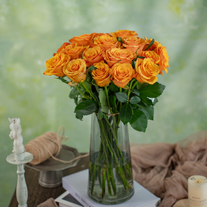 Atacado Personalizado Natural Único Veludo Rosas Fresco Corte Vermelho e Branco Fábrica Direto Flor Fornecimento - Product Image 6