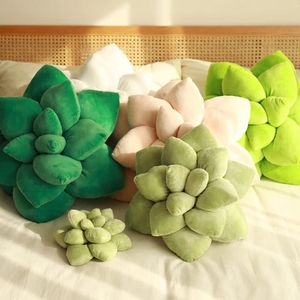 Mignon 3D Succulent Cactus Décor Tissé Coussins Feuille En Peluche Coussin Plante En Forme 100% Polyester Amovible Lavable Décoration - Product Image 2